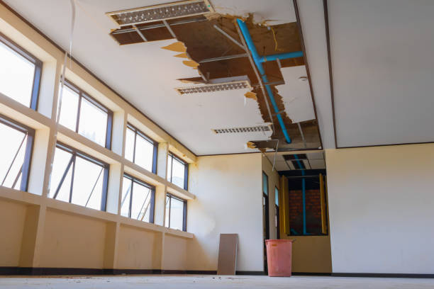 Best Water damage restoration near me  in Centralia, IL