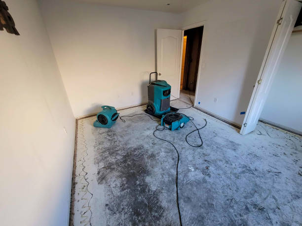 Best Residential water damage restoration  in Centralia, IL