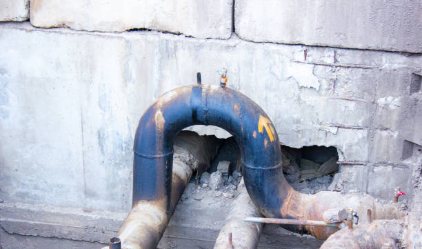 Best Flood restoration services  in Centralia, IL