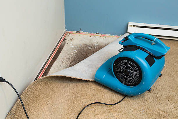  Centralia, IL Water damage restoration Pros